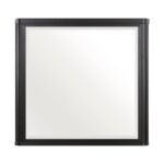 1381-6 Mirror