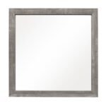 1534GY-6 Mirror