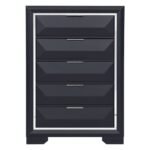 1553-9 Chest