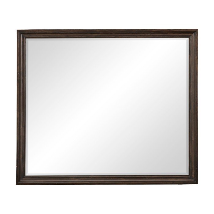 16896_noBGwpath__l.jpg 1689-6 Mirror - Image 1