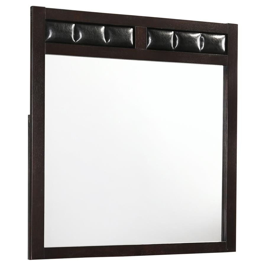 202094_02x900.jpg CARLTON DRESSER MIRROR CAPPUCCINO - Image 1