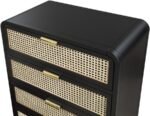 Sage Solid Wood And Natural Cane Wood Chest - Image 7