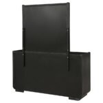 LEANDRO 8-DRAWER BEDROOM DRESSER WITH MIRROR BURNISHED BLACK - Image 8