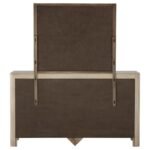 SOLANO 9-DRAWER BEDROOM DRESSER WITH MIRROR WEATHERED MANGO - Image 7