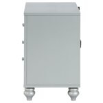 GUNNISON 2-DRAWER NIGHTSTAND SILVER METALLIC - Image 5