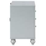 GUNNISON 2-DRAWER NIGHTSTAND SILVER METALLIC - Image 9
