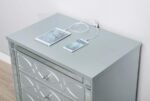 GUNNISON 2-DRAWER NIGHTSTAND SILVER METALLIC - Image 10