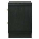 CAVELLE 2-DRAWER NIGHTSTAND BEDSIDE TABLE BLACK - Image 5