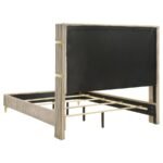 LUCIA 5-PIECE QUEEN BEDROOM SET BEIGE AND WHITE - Image 4