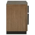 TERRACE 2-DRAWER NIGHTSTAND BEDSIDE TABLE ASH BROWN - Image 9