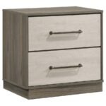 FENWICK 2-DRAWER NIGHTSTAND BEDSIDE TABLE GREY OAK