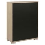 LADERA 5-PIECE QUEEN BEDROOM SET LIGHT ELM - Image 12