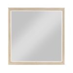 2418-6 Mirror