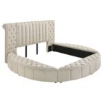 SONYA 5-PIECE UPHOLSTERED QUEEN BEDROOM SET IVORY - Image 3