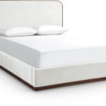 Rava Velvet Upholstered Bed