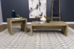 LYNETTE 2-PIECE RECTANGULAR COFFEE AND END TABLE SET MANGO