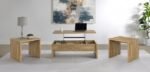 CANOGA 3-PIECE LIFT TOP COCKTAIL COFFEE TABLE SET MANGO