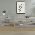 FELIX 2-PIECE COFFEE AND END TABLE SET GREY DRIFTWOOD