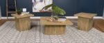 DEVAR 3-PIECE SQUARE COFFEE AND END TABLE SET MANGO