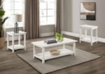 PAYNE 3-PIECE COFFEE AND END TABLE SET DISTRESSED WHITE