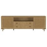 ARINI RATTAN CANE 2-DOOR TV STAND MEDIA CONSOLE SAND WASH - Image 4