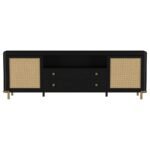 ARINI RATTAN CANE 2-DOOR TV STAND MEDIA CONSOLE BLACK - Image 4