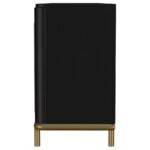 ARINI RATTAN CANE 2-DOOR TV STAND MEDIA CONSOLE BLACK - Image 6