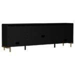 ARINI RATTAN CANE 2-DOOR TV STAND MEDIA CONSOLE BLACK - Image 7