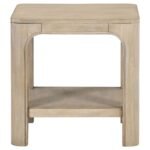 SOLANO SQUARE WOOD SIDE END TABLE WITH SHELF WEATHERED MANGO - Image 3
