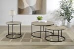 LAINEY 2-PIECE ROUND NESTING COFFEE TABLE DISTRESSED PINE - Image 12