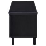 BRIXTON 2-DOOR PADDED ENTRYWAY SHOE STORAGE BENCH BLACK - Image 6