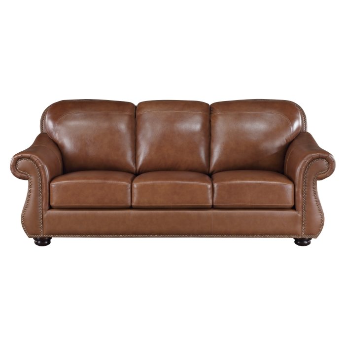 9270BR-3_noBG_f__l.jpg 9270BR-3 Sofa - Image 1