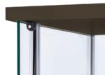 BELLATRIX 4-SHELF CLEAR GLASS CURIO CABINET CAPPUCCINO - Image 4