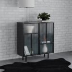 DALIA 2-DOOR ACCENT STORAGE CABINET WITH SHELVING BLACK - Image 2