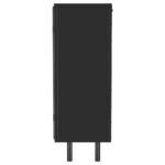 DALIA 2-DOOR ACCENT STORAGE CABINET WITH SHELVING BLACK - Image 4