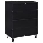 BRIXTON 2-DOOR ENTRYWAY SHOE STORAGE CABINETS BLACK - Image 7