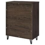 BRIXTON 2-DOOR ENTRYWAY SHOE STORAGE CABINETS SMOKED OAK - Image 8