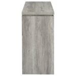 ENOCH 2-DOOR ENGINEERED WOOD ACCENT CABINET GREY DRIFTWOOD - Image 6