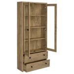 HAWTHORNE 4-SHELF GLASS DOOR TALL CABINET WITH DRAWERS MANGO - Image 3