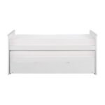 B2053RTW-1R* Twin/Twin Bed with Twin Trundle