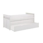 B2053RTW-1R* Twin/Twin Bed with Twin Trundle - Image 3