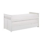 B2053RTW-1R* Twin/Twin Bed with Twin Trundle - Image 2