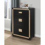 BLAKE BLACK/GOLD CHEST