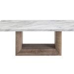 T02 COFFEE TABLE