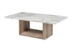 T02 COFFEE TABLE - Image 2